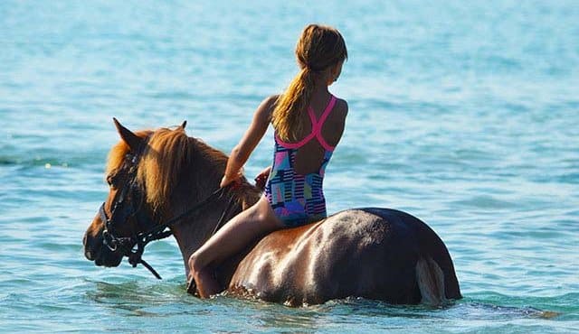 Randonnée cheval plage Porto Vecchio